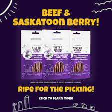 Farm Fresh Beef & Saskatoon Berry Treats 100g