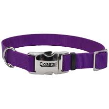 Coastal Metal Buckle Collar Purple 14-20"