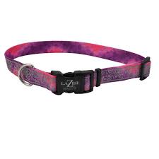 Lazer Brite Rflctv Open Design Adj Collar Pink Multi Flowers Dog 1pc 5/8x12-18in