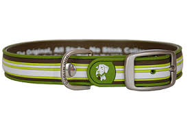 Dublin Dog Collar Green Small 11-14" *While Supplies Last*