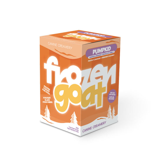 Canine Creamery - Pumpkid frozen yogurt 300ml