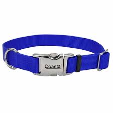 Coastal Metal Buckle Collar Blue 14-20"