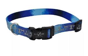 Lazer Brite Rflctv Open Design Adj Collar Blue Multi Bone Dog 1pc 1x18-26in