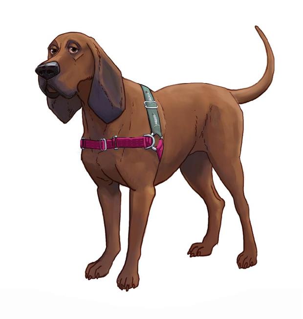 JWalker Harness RED SM