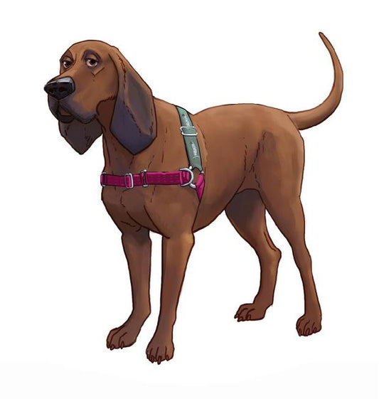 JWalker Harness RED SM