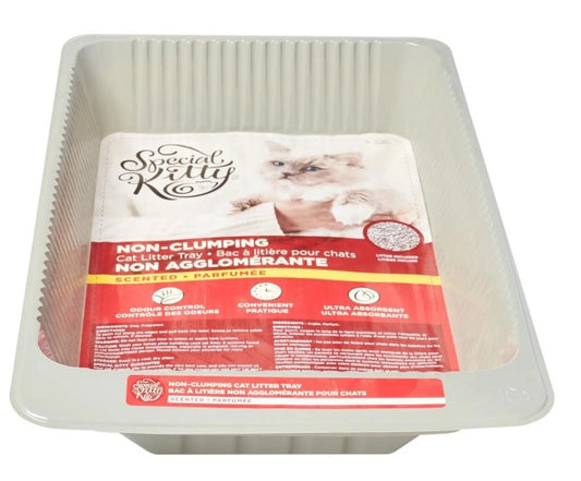 Special Kitty Non-clumping kitty litter with travel tray