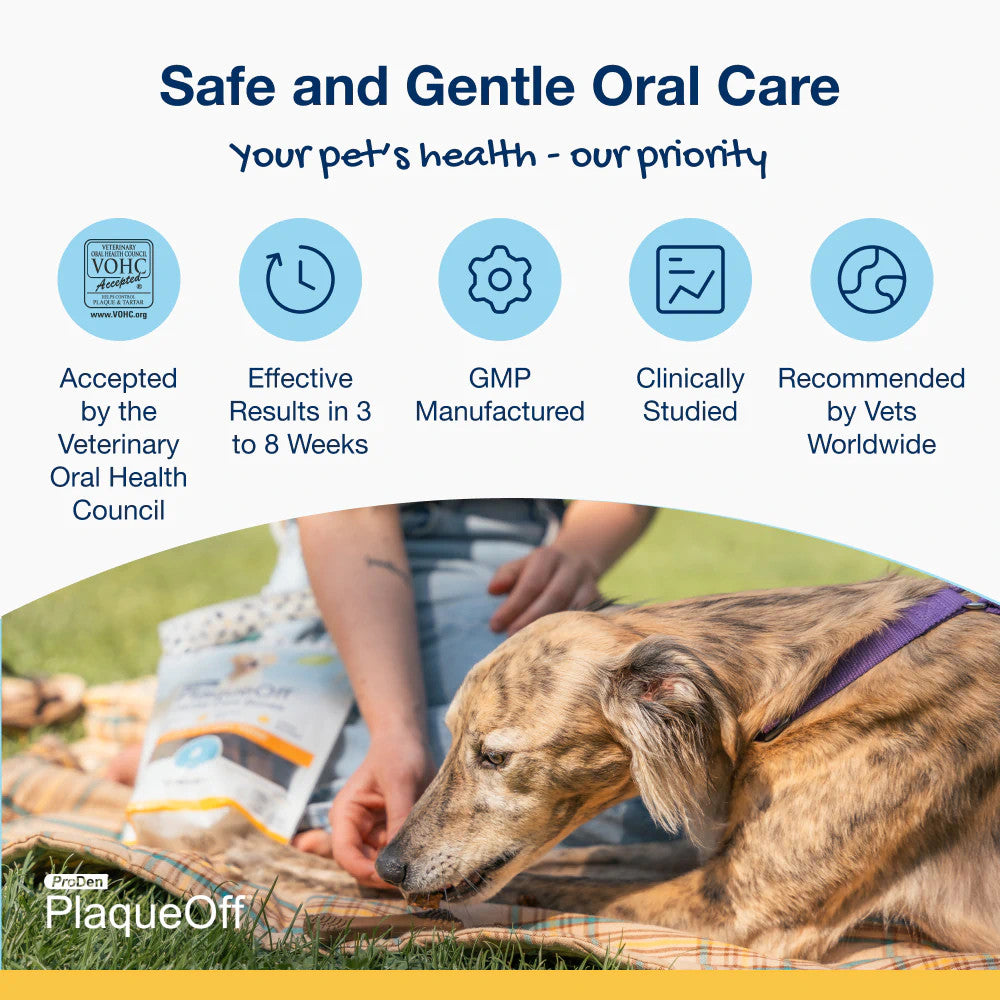 Plaque Off Vegan Mint Fusion Dental Bones 17oz 13 bones
