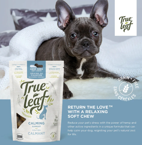 True Leaf Hemp Calming Support Chews 90gm