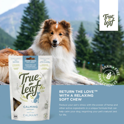 True Leaf Hemp Calming Support Chews 90gm