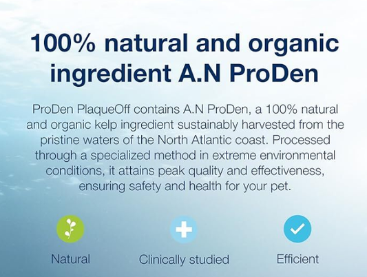 Proden Plaque Off 60gm