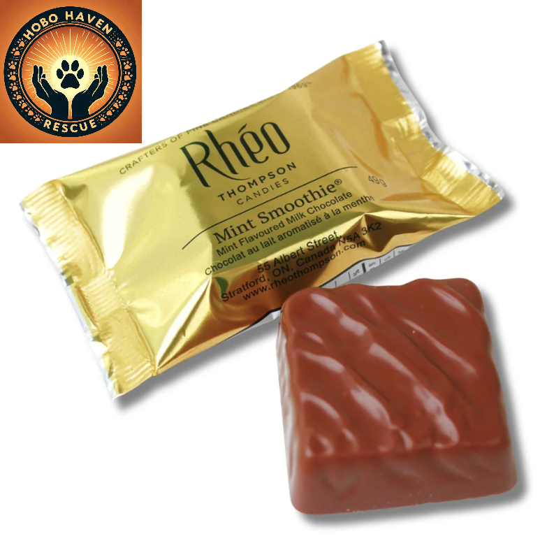 Fundraiser Rheo Thompson Smoothies