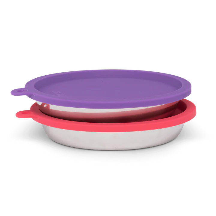 Messy Cats 4Pc Set - 2 Stainless Saucer Bowls and Lids, Watermelon/Purple