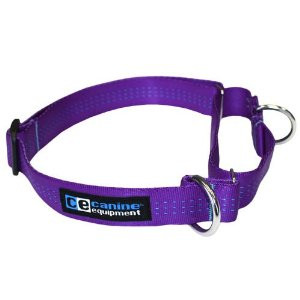 Canine Equipment All Webbing Martingale Collars XL Purple SALE