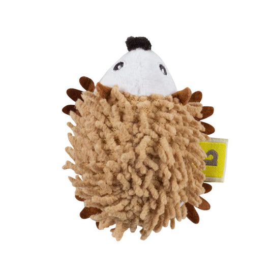 Be one Breed Cat Porcupine