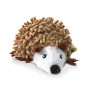 Be one Breed Cat Porcupine